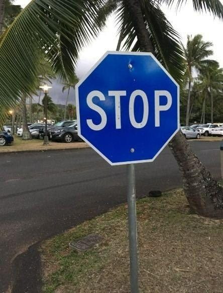 The Meaning Behind a Blue Stop Sign – Why You Might Be Seeing One (And What It Means)