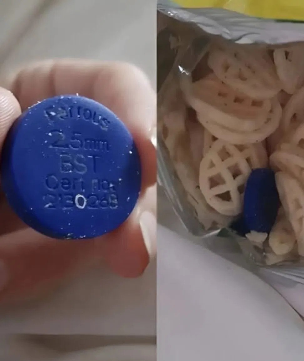 We Found a Strange Blue Object in a Bag of Chips—Here’s What It Turned Out to Be