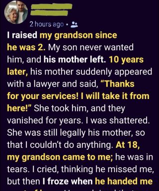 She Took My Grandson Away After I Raised Him — Years Later, He Returned Changed