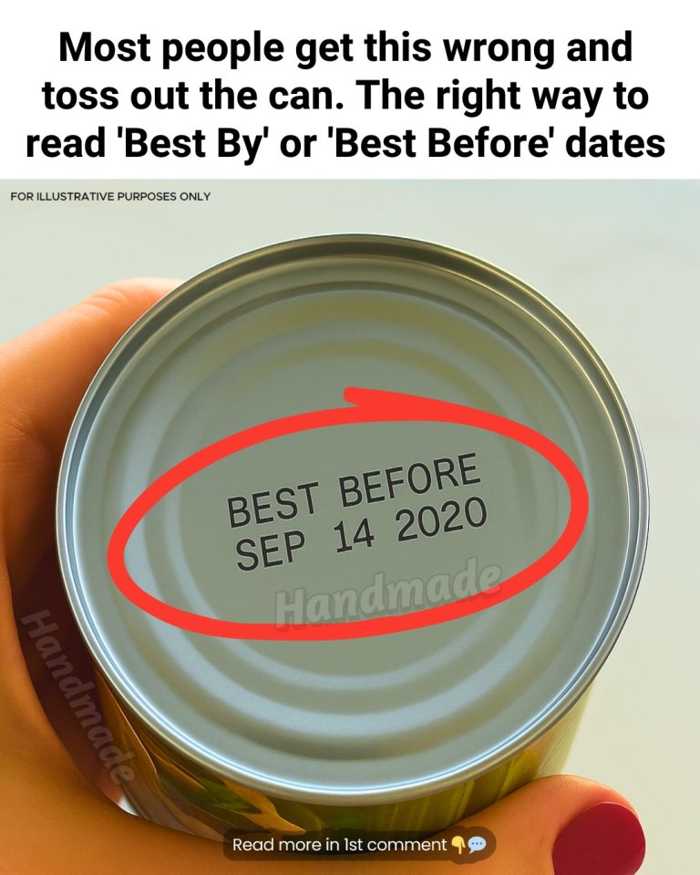 The Truth About Expired Canned Goods