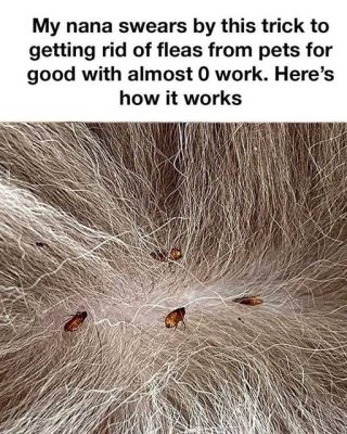 Wish I Learned This Years Ago