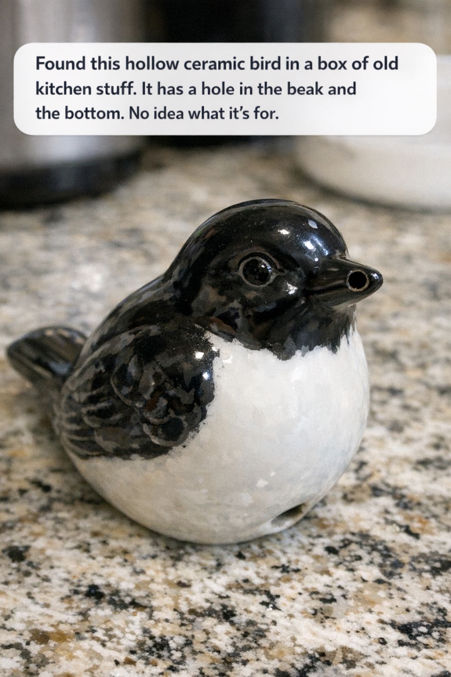 Found this hollow ceramic bird in a box of old kitchen stuff. It has a hole in the beak and the bottom. No idea what it’s for.