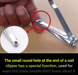 The Secret Function of the Small Hole on a Nail Clipper