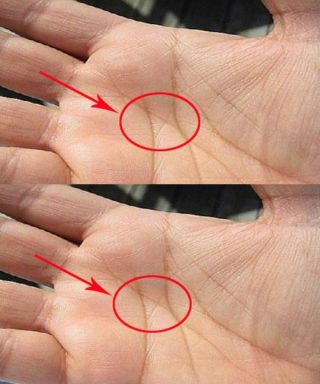 The Meaning of the “M” Line on Your Palm in Love and Marriage