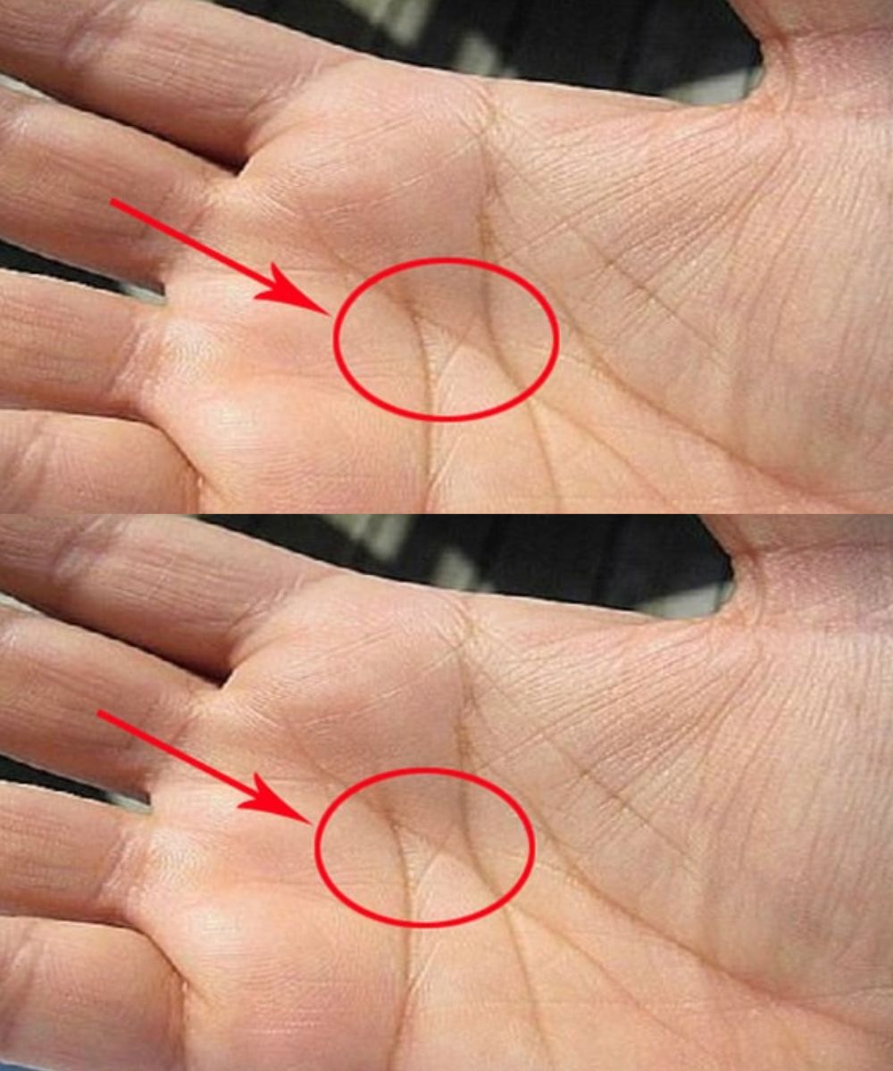 The Meaning of the “M” Line on Your Palm in Love and Marriage