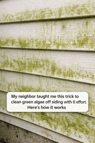 My neighbor taught me this trick to clean green algae off siding with 0 effort. Here’s how it works