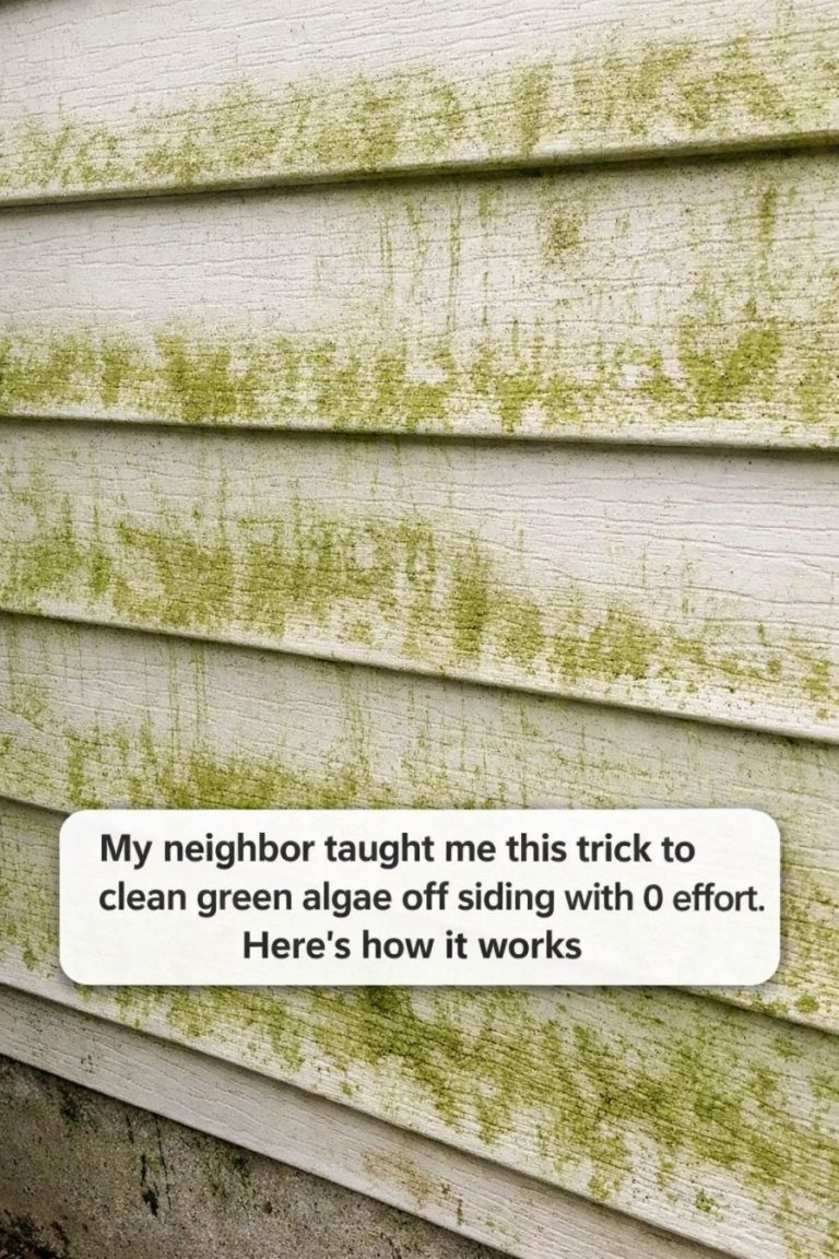 My neighbor taught me this trick to clean green algae off siding with 0 effort. Here’s how it works