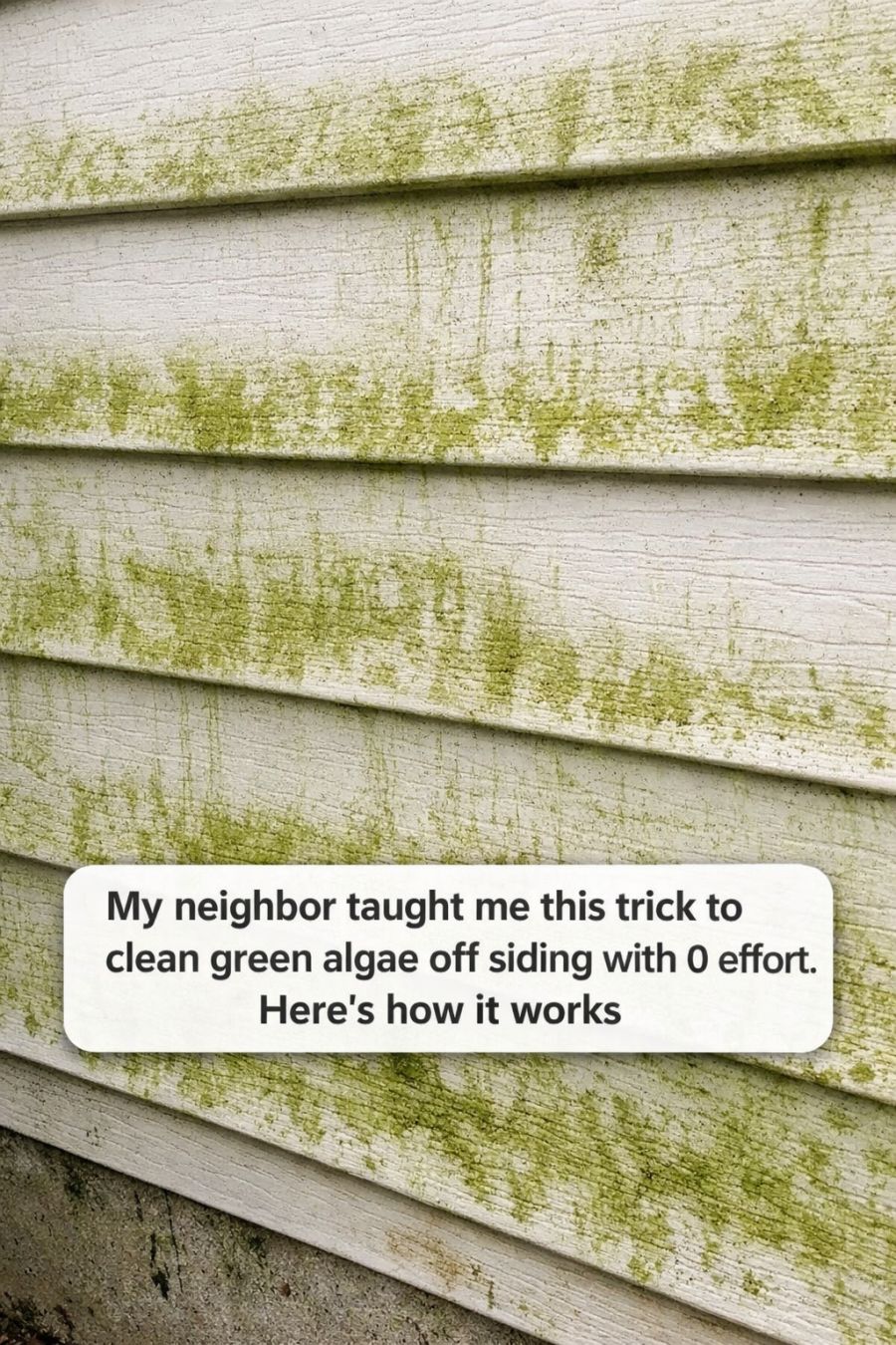 My neighbor taught me this trick to clean green algae off siding with 0 effort. Here’s how it works
